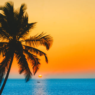 #Embrace A Fresh Vibe