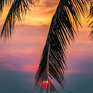 #Happy Summer